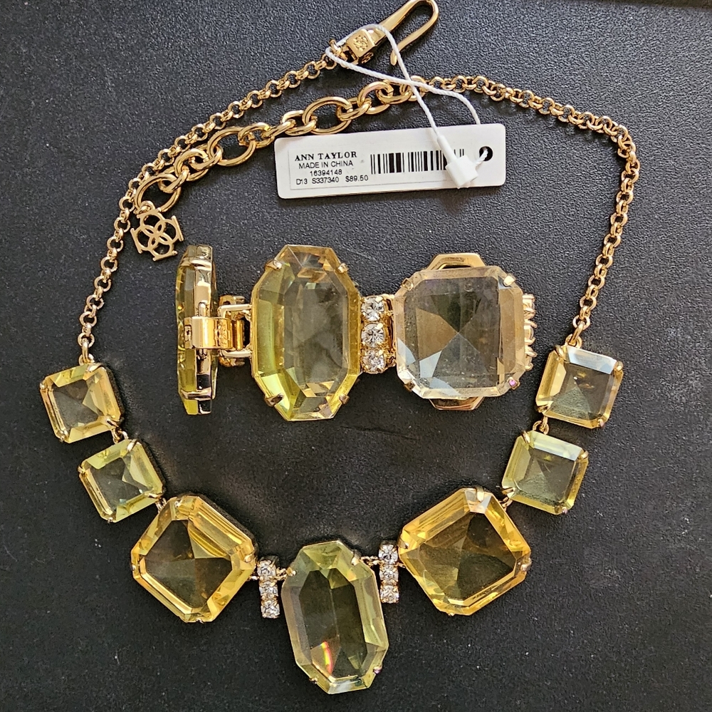 NWT Ann Taylor beautiful necklace and bracelet